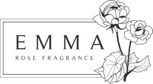 asset6-Q7DECYH-300x165